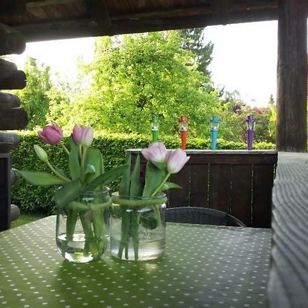 Campinghutte Mit Fkk Moglichkeit Hotel Meckenbeuren Buitenkant foto